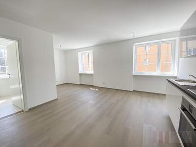 Etagenwohnung mieten in 5020 Salzburg