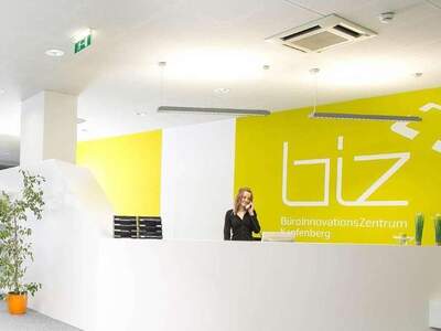 Gewerbeobjekt mieten in 8605 Kapfenberg (Bild 3)