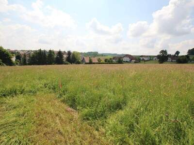 Grundstück kaufen in 4760 Raab