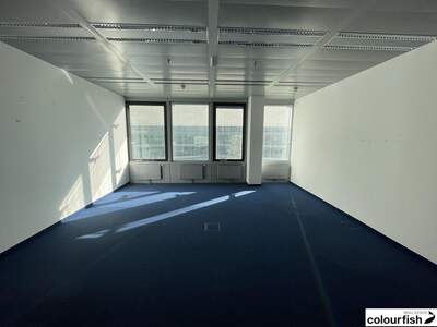 Gewerbeobjekt mieten in 1220 Wien (Bild 5)