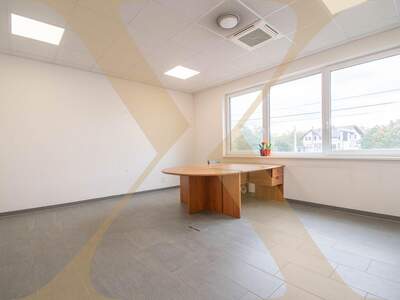 Gewerbeobjekt mieten in 4020 Linz (Bild 1)