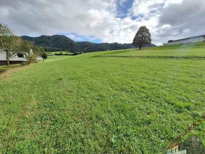 Grundstück kaufen in 8662 Krieglach (Bild 5)