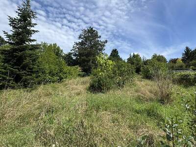 Grundstück kaufen in 3400 Klosterneuburg