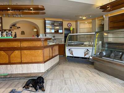 Gewerbeobjekt mieten in 8650 Kindberg (Bild 2)