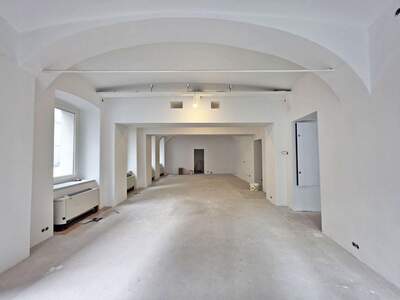 Gewerbeobjekt mieten in 1090 Wien (Bild 4)