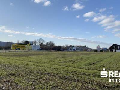 Grundstück kaufen in 4614 Marchtrenk (Bild 1)