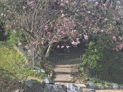 Gewerbeobjekt kaufen in 8230 Hartberg