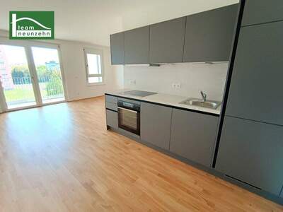 Terrassenwohnung mieten in 3100 St. Pölten (Bild 3)