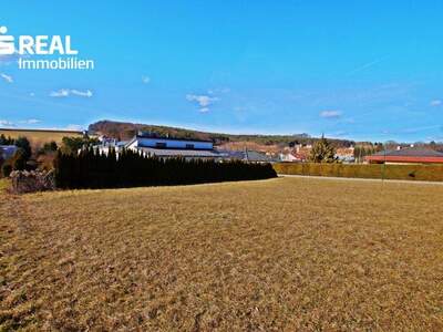 Grundstück kaufen in 7431 Bad Tatzmannsdorf (Bild 4)