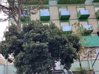 Gewerbeobjekt kaufen in 33054 Lignano Pineta (Bild 1)