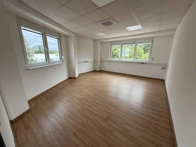 Büro / Praxis mieten in 2544 Leobersdorf (Bild 4)
