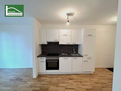 Terrassenwohnung mieten in 1220 Wien (Bild 3)