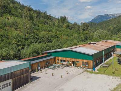 Gewerbeobjekt kaufen in 8680 Mürzzuschlag (Bild 5)