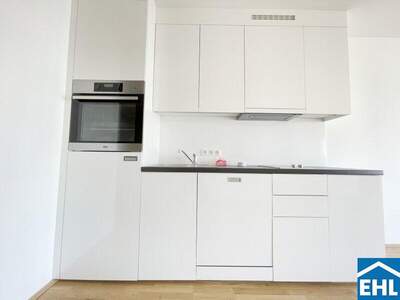 Terrassenwohnung mieten in 1030 Wien (Bild 3)