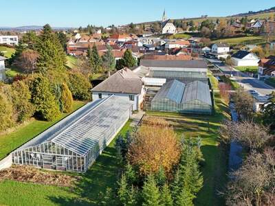 Grundstück kaufen in 3434 Katzelsdorf (Bild 2)