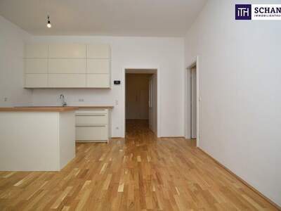 Wohnung kaufen in 1060 Wien (Bild 1)