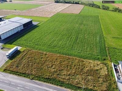 Gewerbeobjekt mieten in 8724 Spielberg (Bild 4)