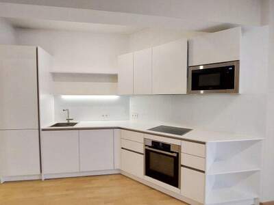 Terrassenwohnung mieten in 1010 Wien (Bild 4)