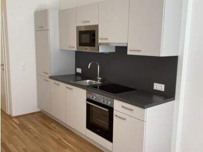 Terrassenwohnung mieten in 1220 Wien (Bild 1)