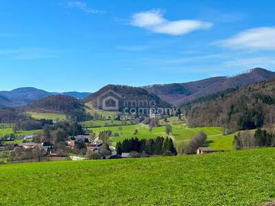 Grundstück kaufen in 2571 Altenmarkt