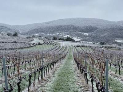 Grundstück kaufen in 2514 Traiskirchen (Bild 2)