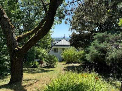 Haus kaufen in 1190 Wien