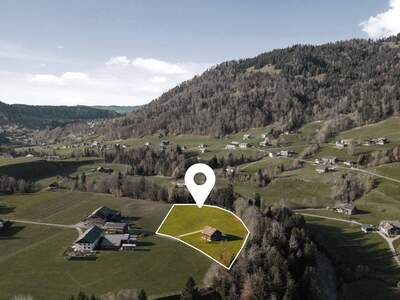 Grundstück kaufen in 6952 Hittisau