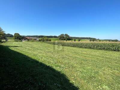 Grundstück kaufen in 5143 Feldkirchen (Bild 2)