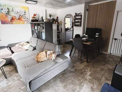 Einfamilienhaus kaufen in 2491 Hornstein