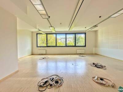 Gewerbeobjekt mieten in 1090 Wien (Bild 5)