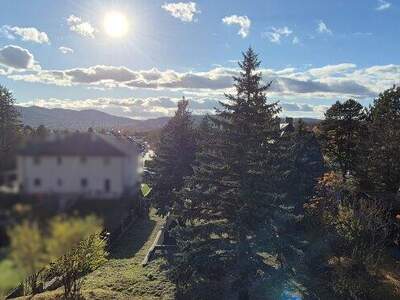 Grundstück kaufen in 2103 Langenzersdorf (Bild 1)