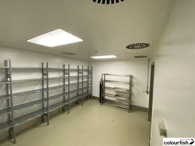 Gewerbeobjekt mieten in 1210 Wien (Bild 5)