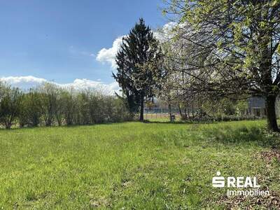 Grundstück kaufen in 6890 Lustenau (Bild 1)