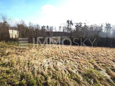 Grundstück kaufen in 4224 Wartberg (Bild 1)