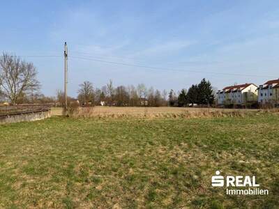 Grundstück kaufen in 4070 Pupping (Bild 5)