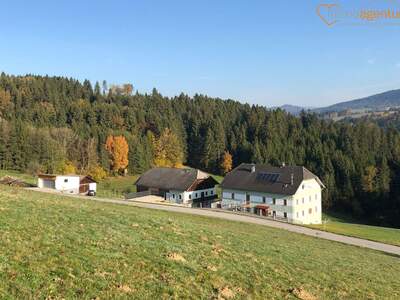 Haus kaufen in 4143 Neustift (Bild 3)