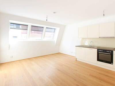 Terrassenwohnung mieten in 1090 Wien (Bild 1)