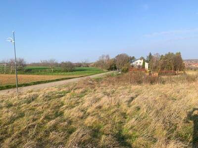 Grundstück kaufen in 2425 Nickelsdorf (Bild 2)