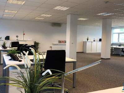 Gewerbeobjekt mieten in 2700 Wiener Neustadt