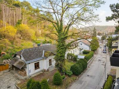 Wohnung mieten in 1230 Wien