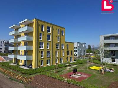 Wohnung mit Balkon kaufen in 4481 Asten (Bild 1)