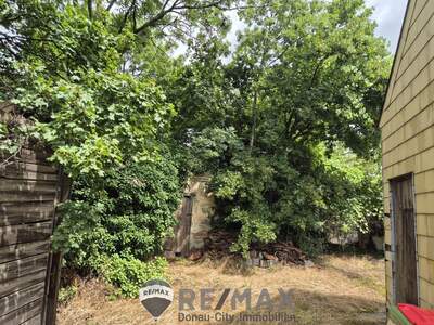 Grundstück kaufen in 2301 Groß (Bild 1)