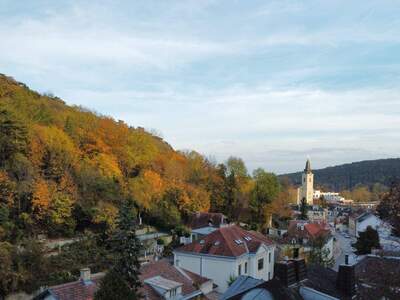 Grundstück kaufen in 1230 Wien