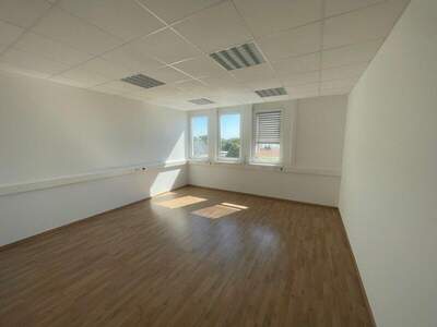 Büro / Praxis mieten in 2351 Wr. Neudorf (Bild 5)