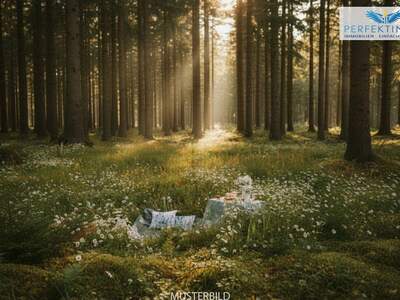 Grundstück kaufen in 6020 Innsbruck (Bild 1)