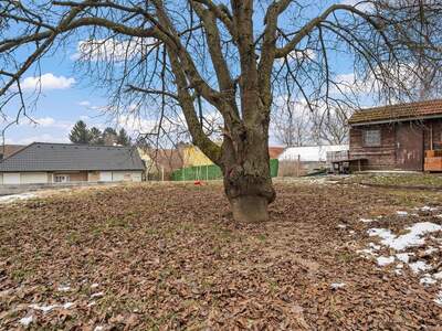 Grundstück kaufen in 2014 Breitenwaida (Bild 5)