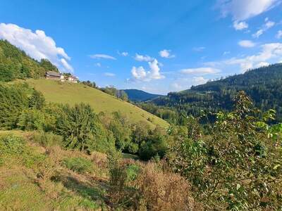 Gewerbeobjekt kaufen in 8573 Hemmerberg (Bild 2)