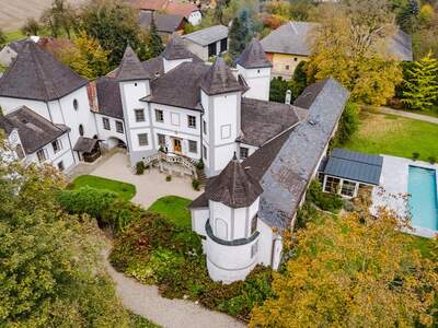 Schloss kaufen in 4693 Desselbrunn (Bild 3)