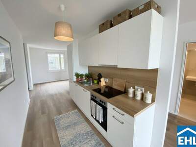 Terrassenwohnung mieten in 3451 Michelhausen (Bild 1)