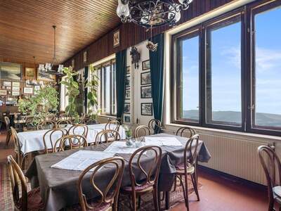 Gewerbeobjekt kaufen in 2734 Puchberg (Bild 5)